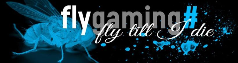 flygaming# Cover